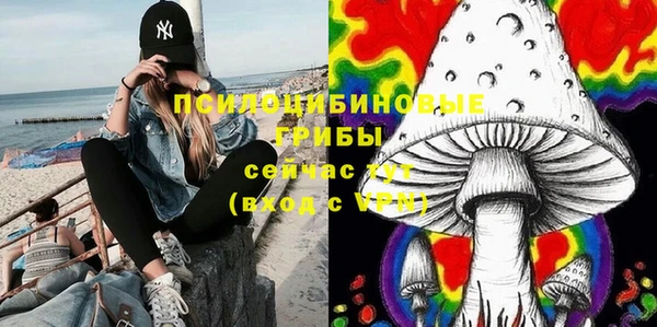 соль курить ск Алзамай