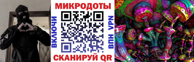 Псилоцибиновые грибы Psilocybine cubensis  ссылка на мегу вход  Венёв 